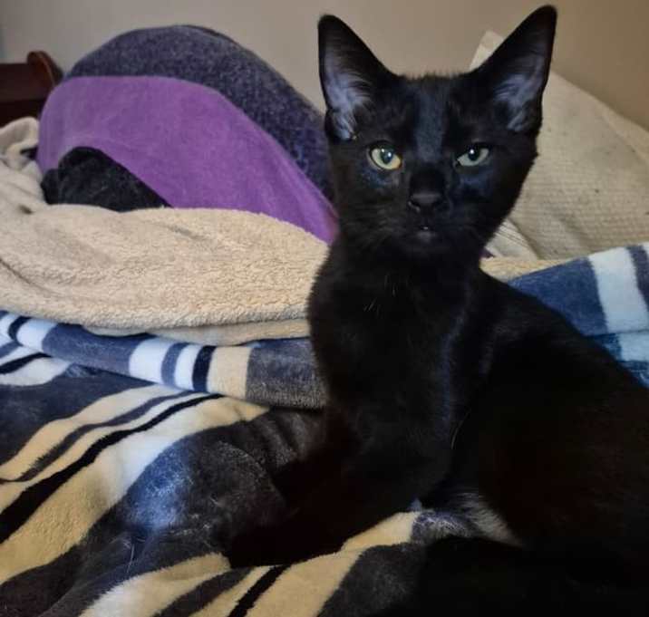 Photo of Maxon