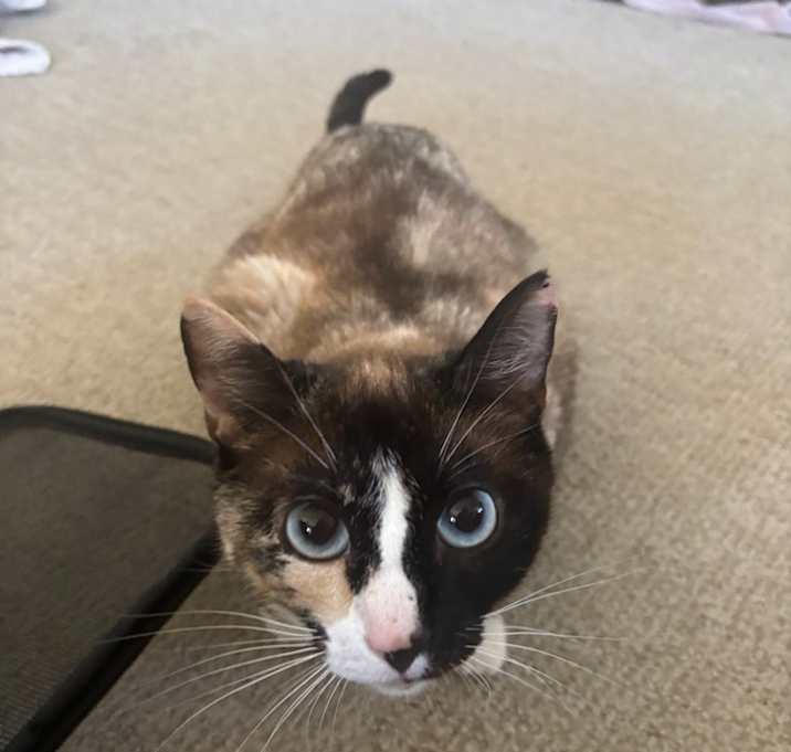 Photo of Sasha