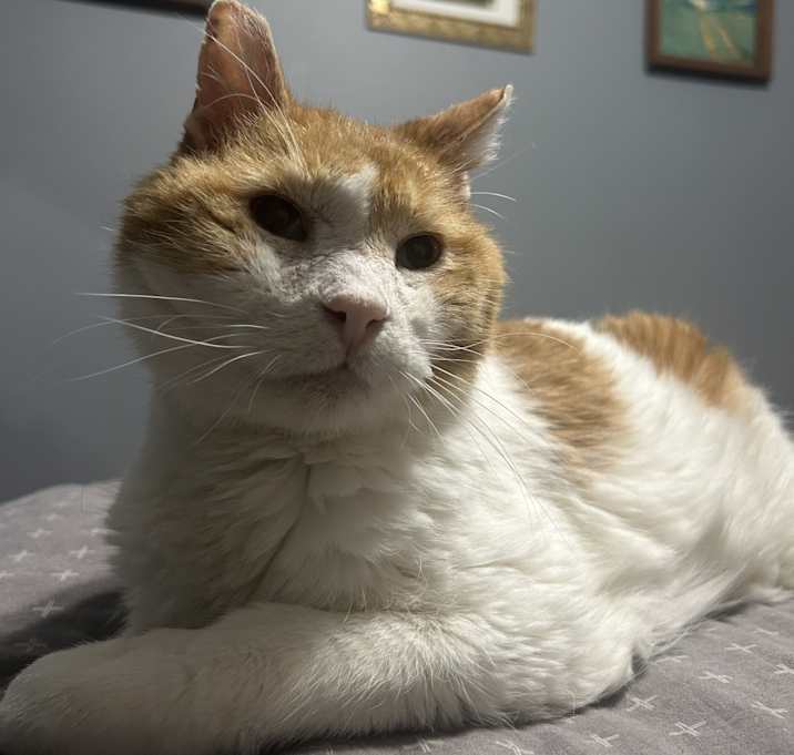 Photo of TeinTein