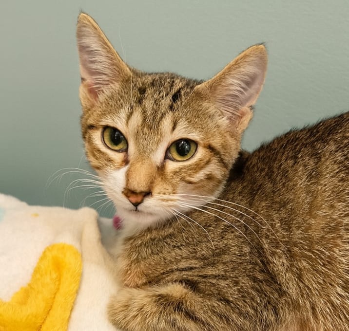 Photo of Esme Shelby