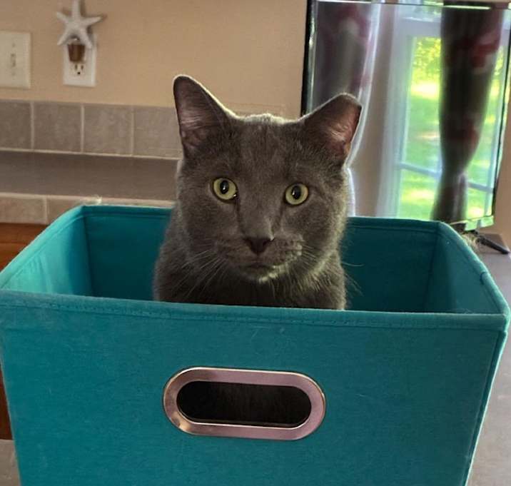 Photo of Elwood
