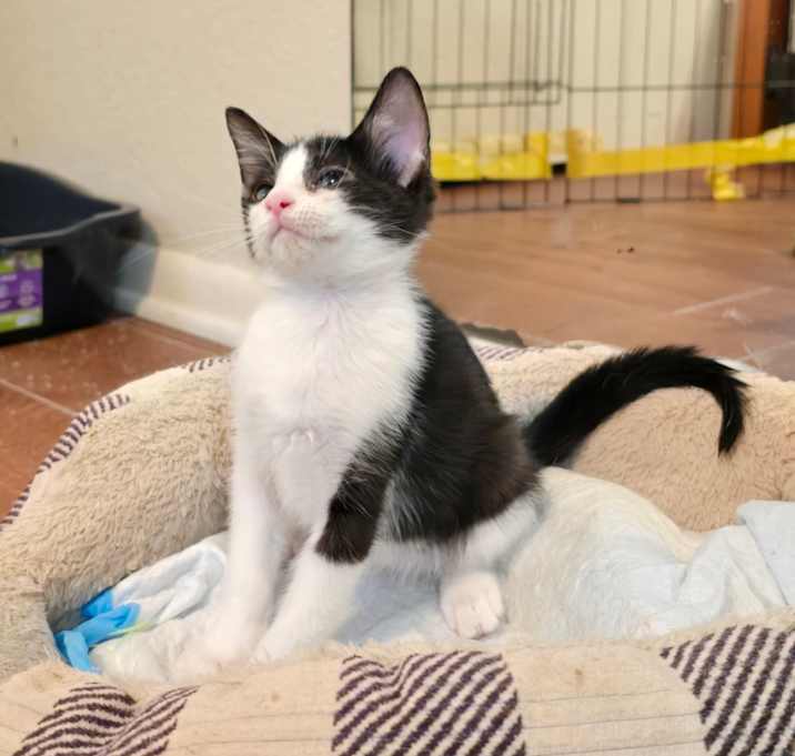 Photo of Moo