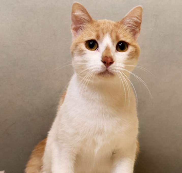 Photo of Winston