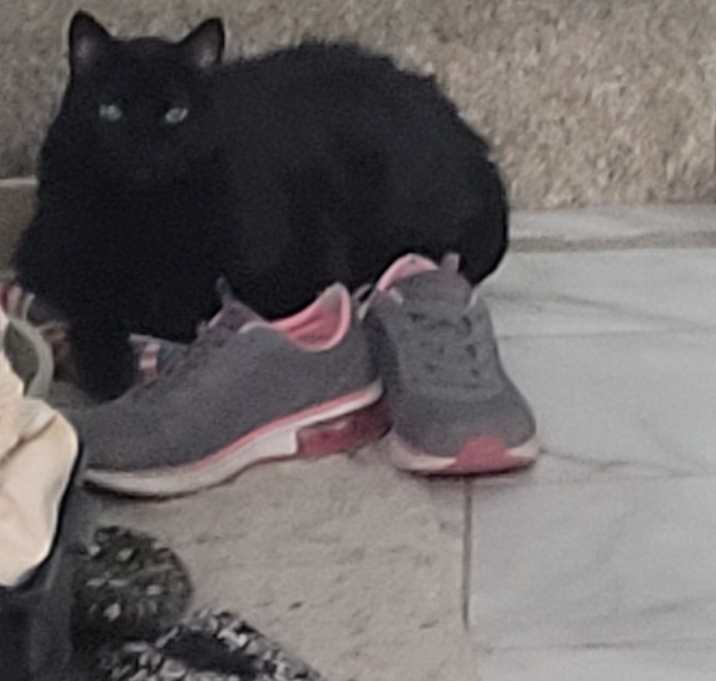Photo of Kittay