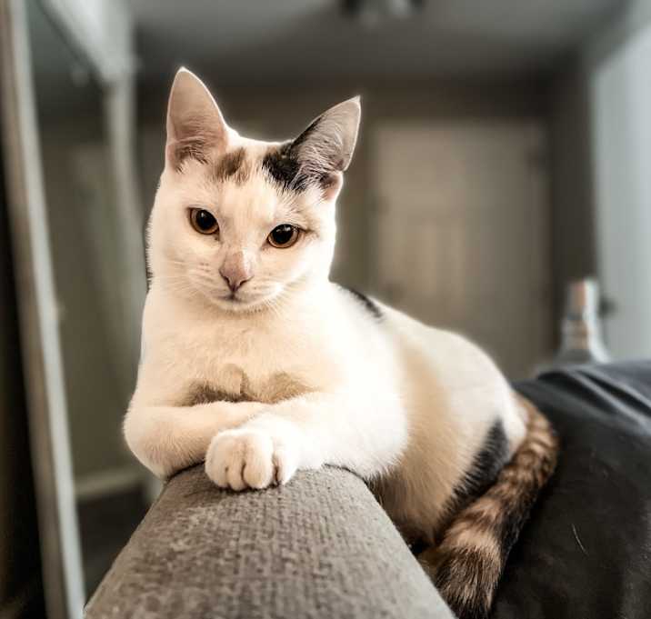 Photo of Kiki