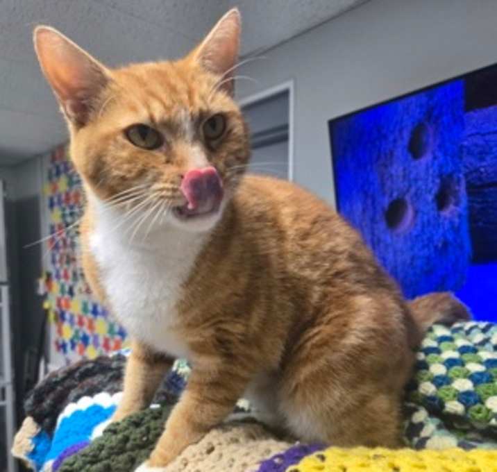 Photo of Ralphie