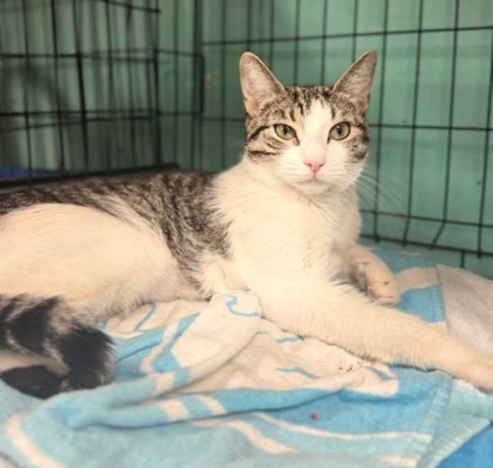Photo of Sprout