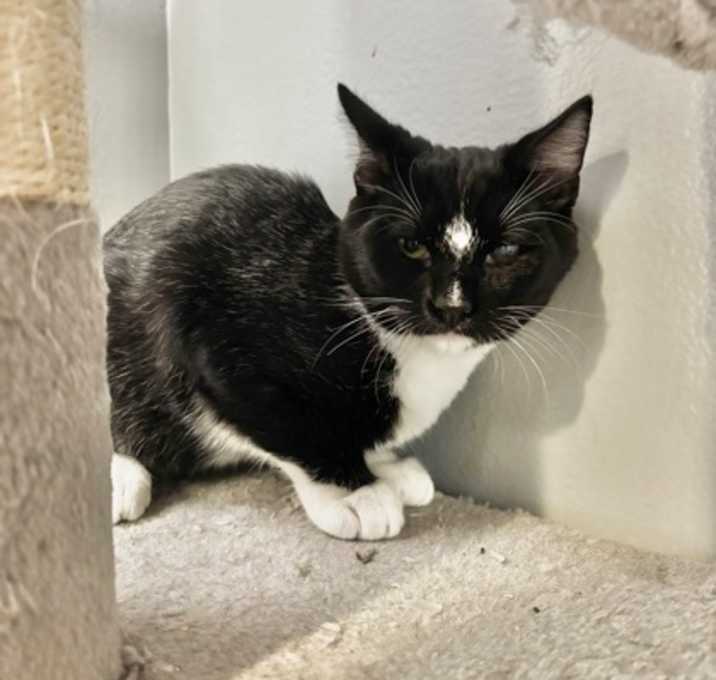 Photo of Pizza 873-25