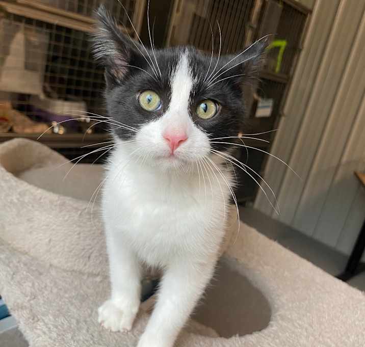 Photo of Marbles
