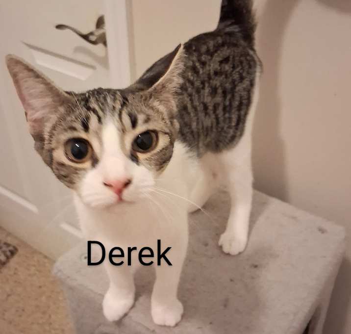 Photo of Derek