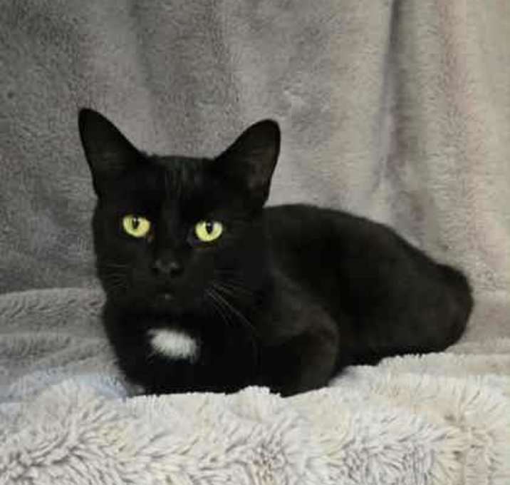 Photo of Zephyr
