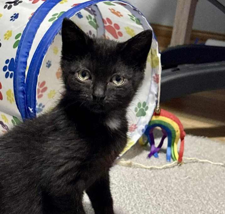 Photo of Blacky