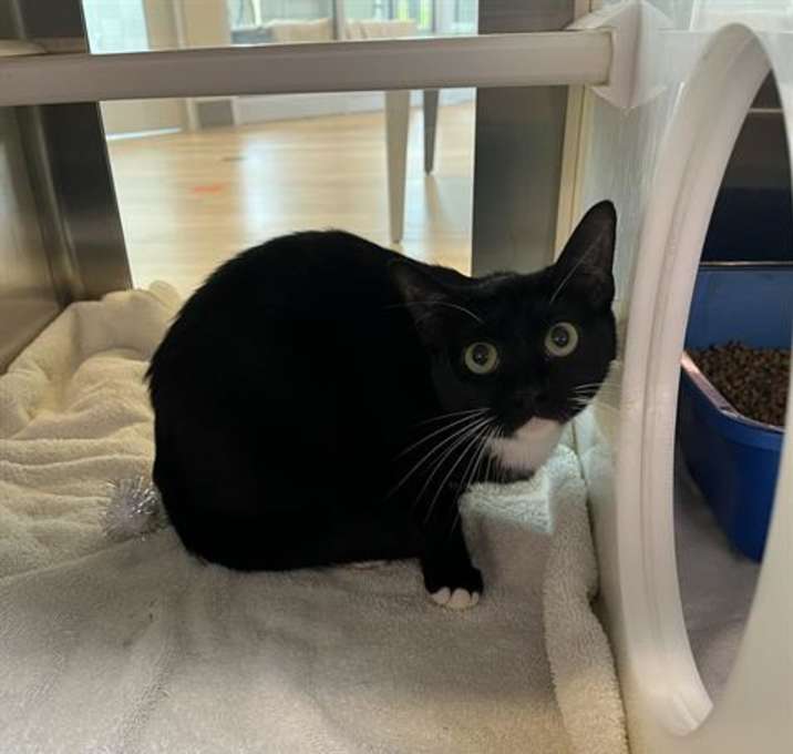 Photo of CLEO