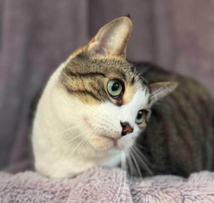 Photo of Buddy