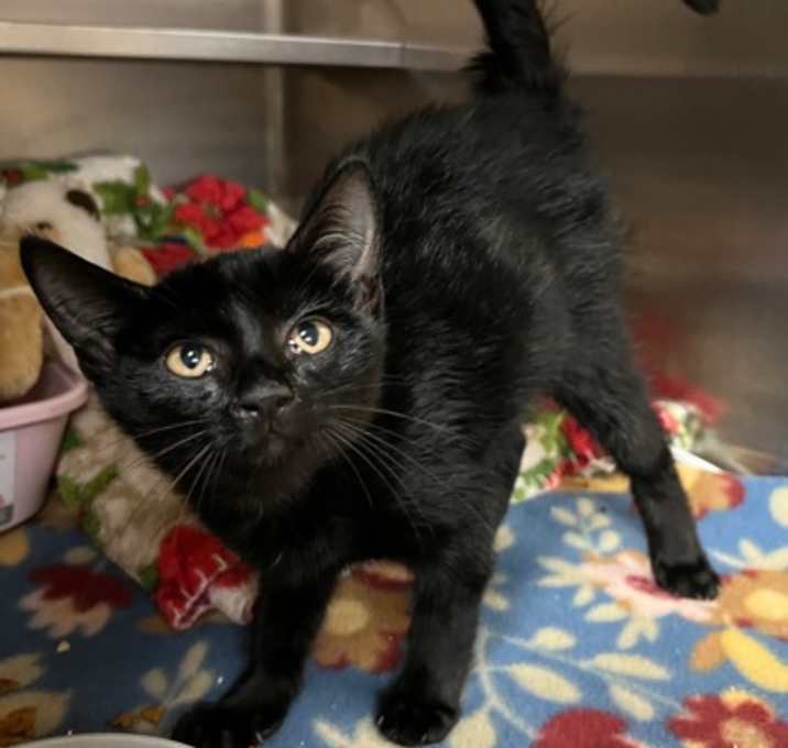 Photo of Stormy