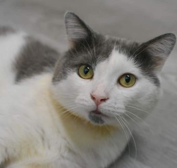 Photo of Pumpui