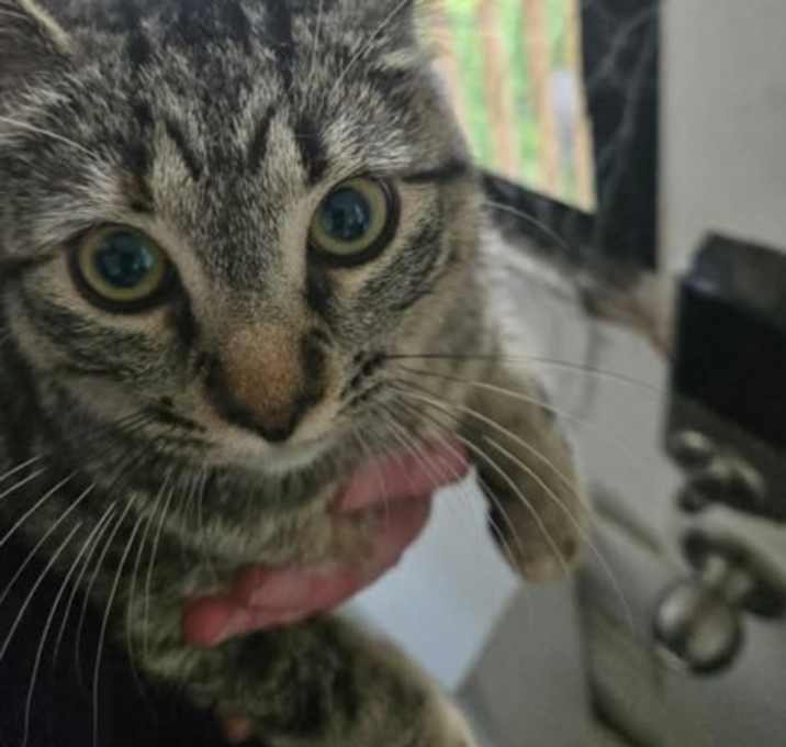 Photo of Dotty