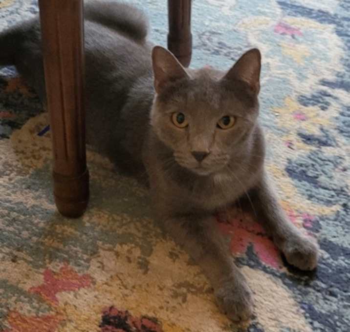 Photo of Andujar Michelle