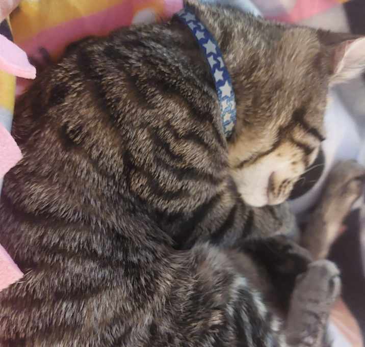 Photo of Monty