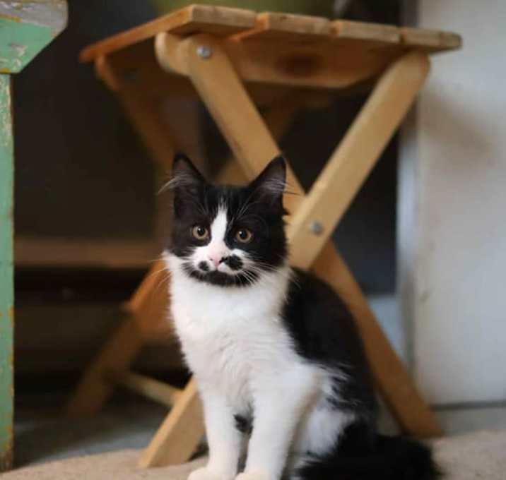 Photo of Meeka