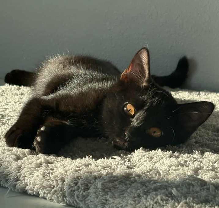Photo of Gwen