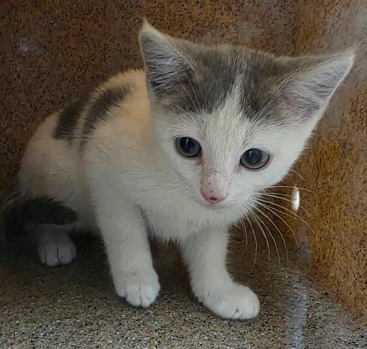 Photo of Squash