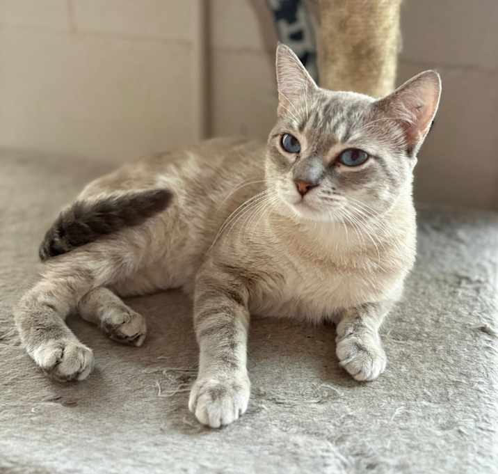 Photo of Zeus