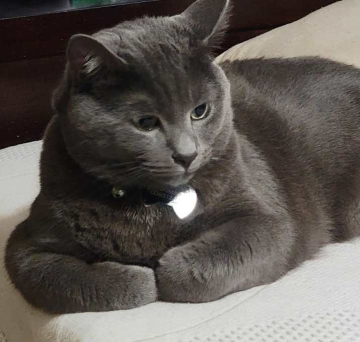 Photo of Tom