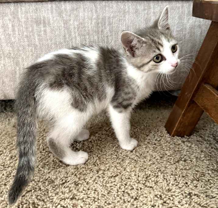 Photo of Albert (formerly Cloudy)