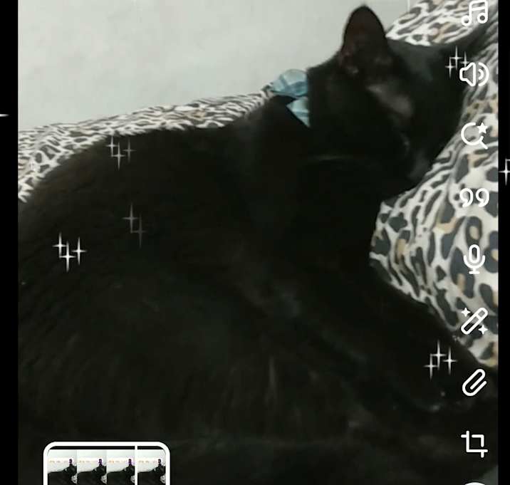 Photo of Kitty