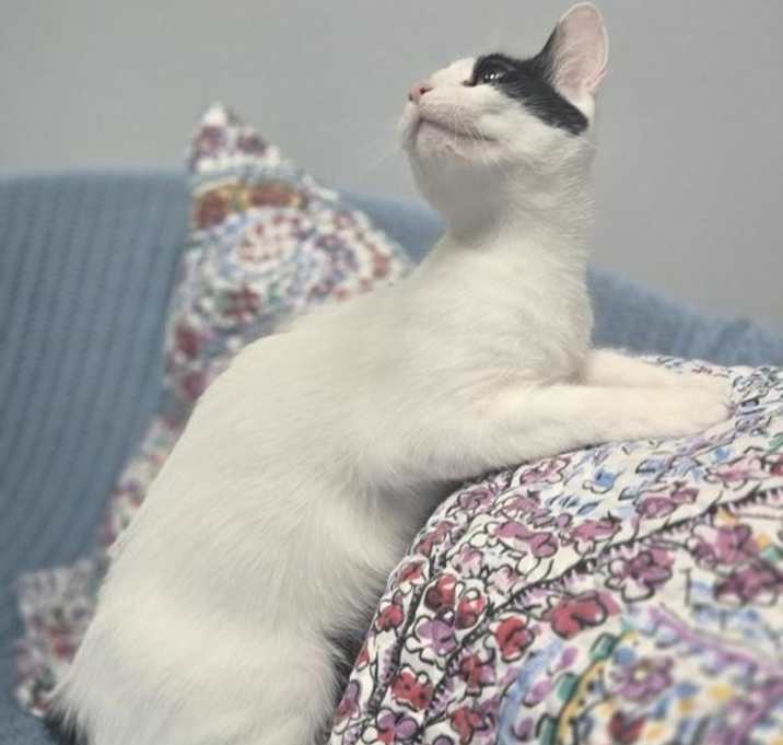 Photo of Annie