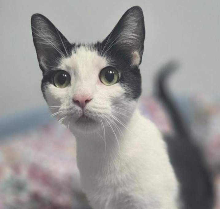 Photo of Minnie