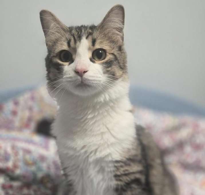 Photo of Rascal