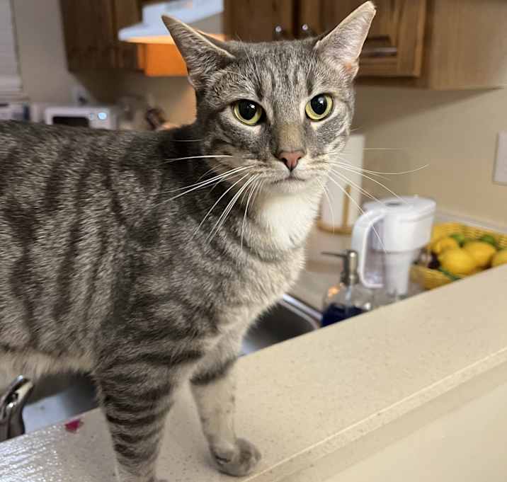 Photo of Junior