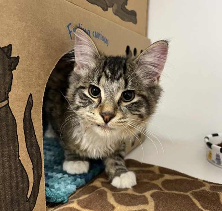 Photo of Morty