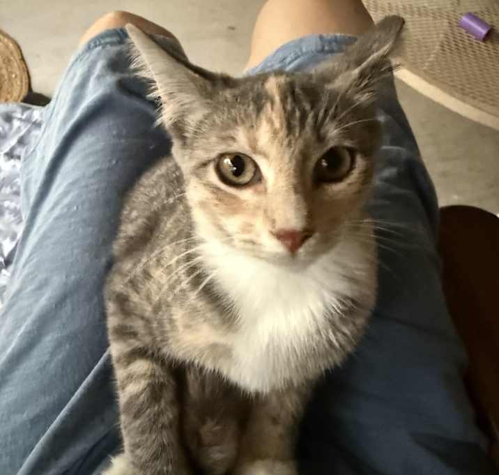 Photo of Lola