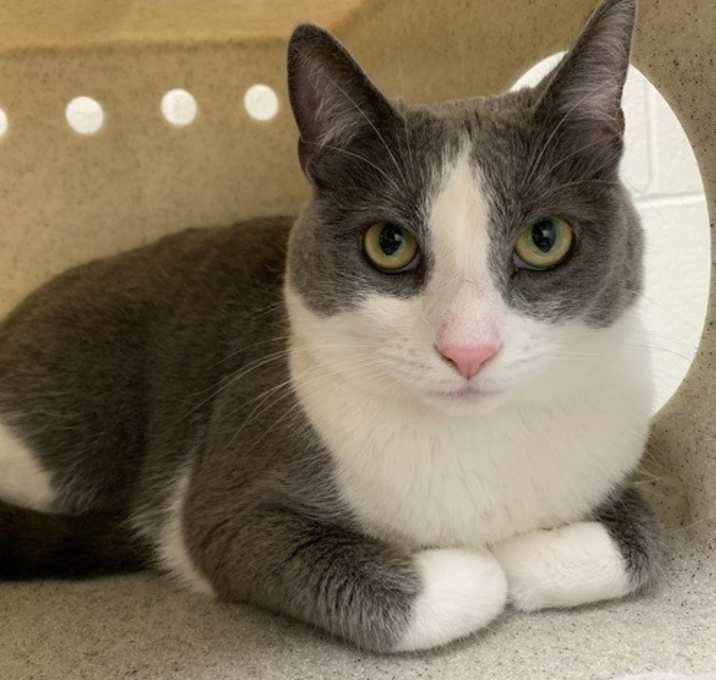 Photo of Cora