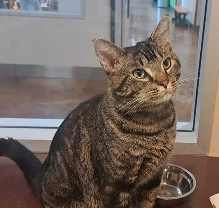 Photo of Rumble