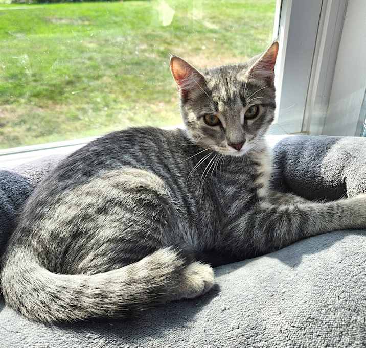 Photo of Eli