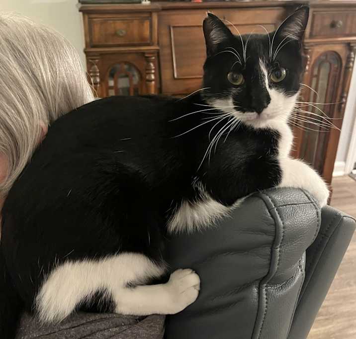 Photo of Sylvester