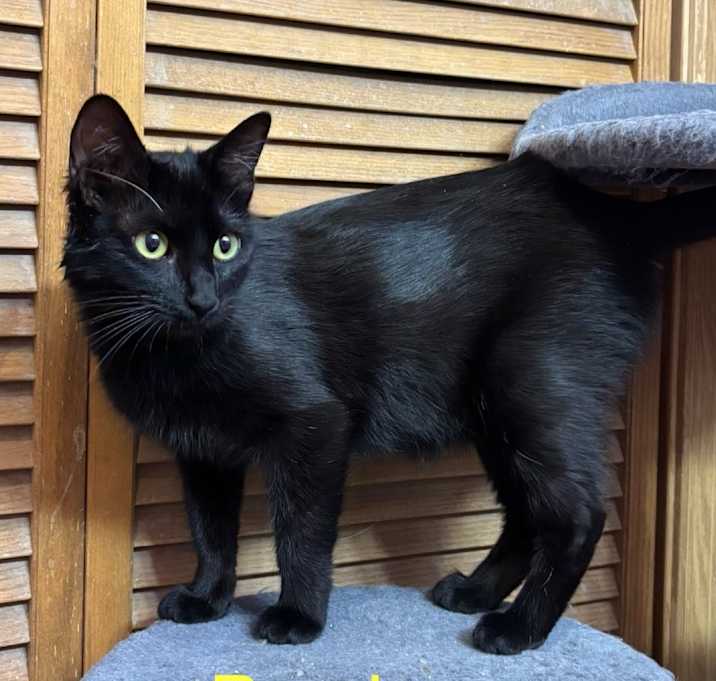 Photo of Precious