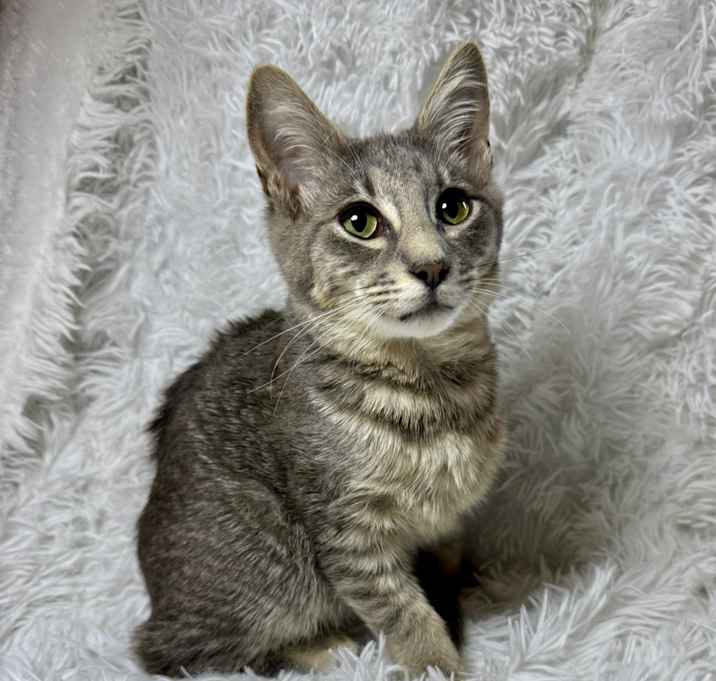 Photo of Thomas