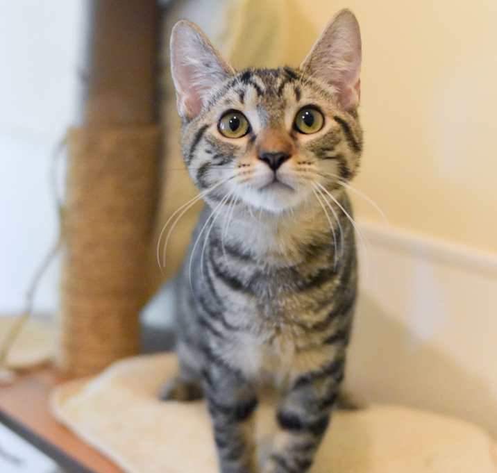 Photo of Fitch