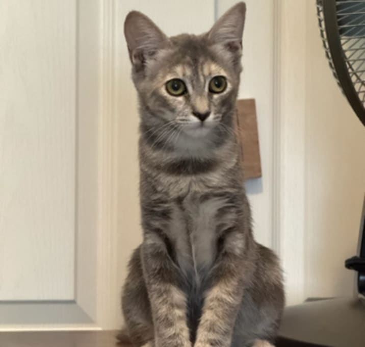 Photo of Rizzo