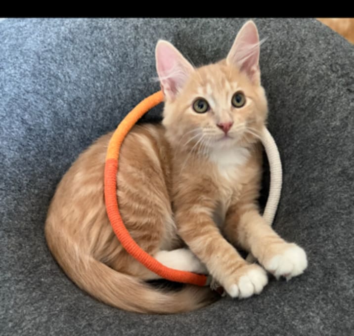 Photo of Skeeter
