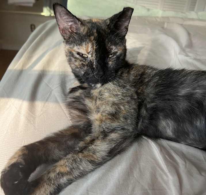 Photo of Jewel