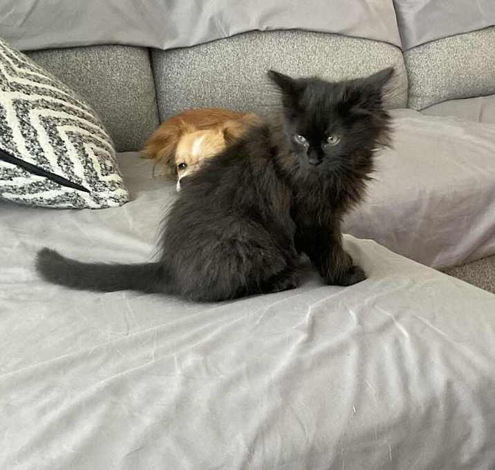 Photo of Thriller