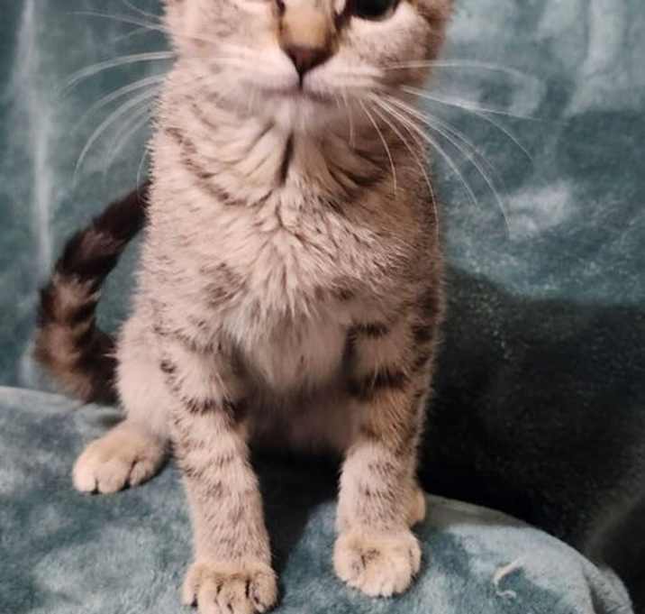 Photo of Winifred