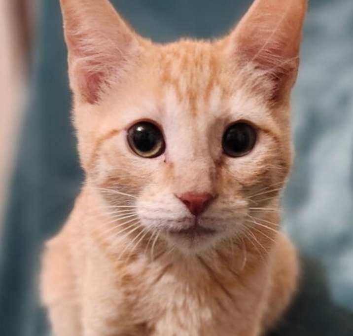 Photo of Billy