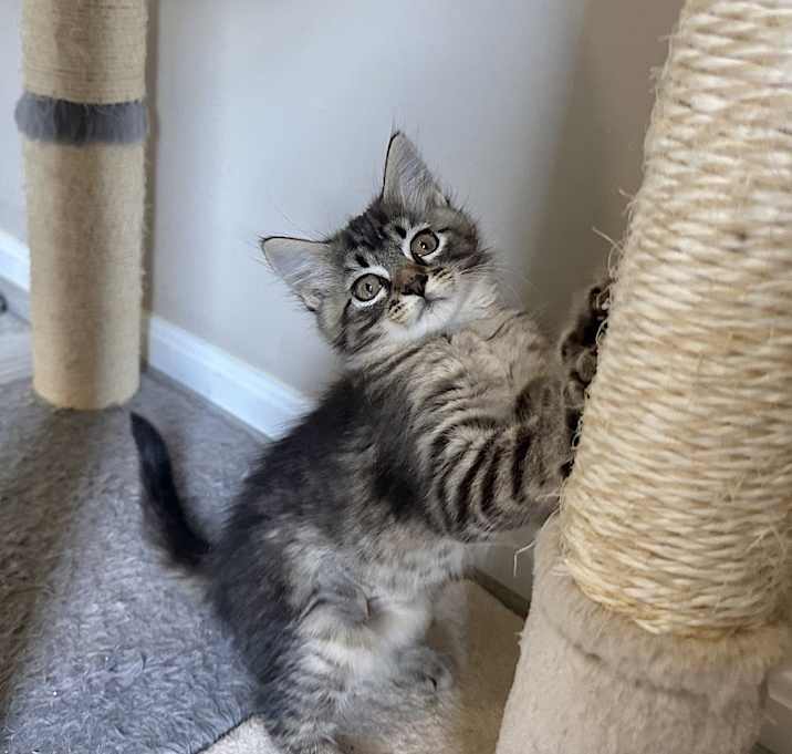 Photo of Aries : Amelia